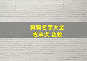 狗狗名字大全 牧羊犬 边牧